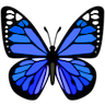 ac_darkblue_butterfly
