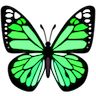 ac_lightgreen_butterfly