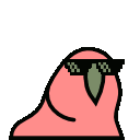 DealWithIt_Parrot