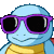 CoolSquirtle