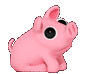 Pig_Scooch