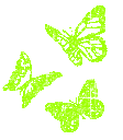 psgreenbutterfly