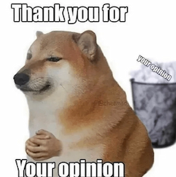 thank you for your opinion
