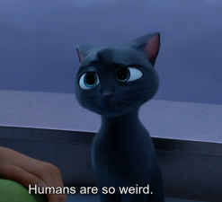 humans-weird